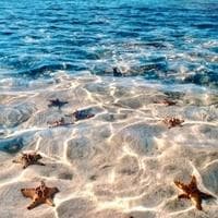profile_Sea