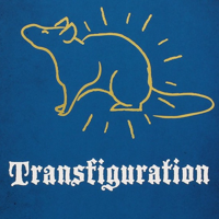 Transfiguration тип личности MBTI image