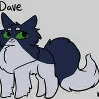 Dave / Davepelt type de personnalité MBTI image