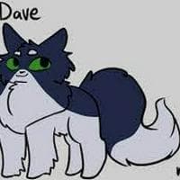 Dave / Davepelt mbtiパーソナリティタイプ image