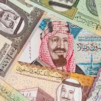 Saudi Riyal (SAR) MBTI Personality Type image