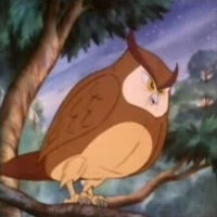 Tawny Owl tipo di personalità MBTI image
