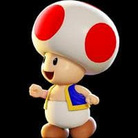profile_Toad