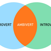 Socially Ambiverted tipe kepribadian MBTI image