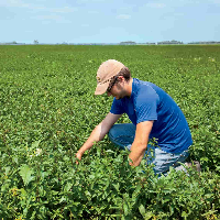 Agricultural Worker tipo de personalidade mbti image