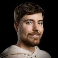 Jimmy D. Donaldson (MrBeast) type de personnalité MBTI image