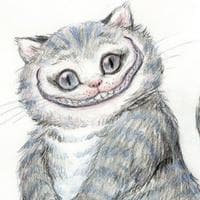 Cheshire mbtiパーソナリティタイプ image