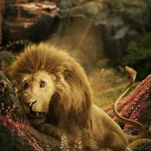 profile_Cowardly Lion