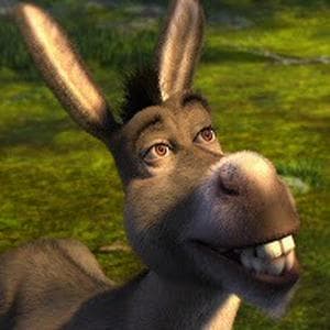 Donkey mbtiパーソナリティタイプ image