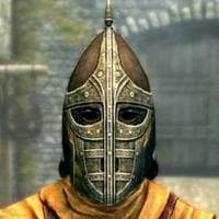 Skyrim Guards tipo di personalità MBTI image