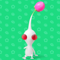 White Pikmin mbtiパーソナリティタイプ image