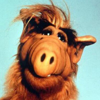 ALF tipo di personalità MBTI image