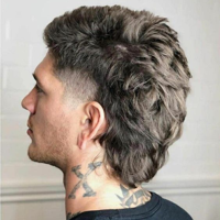 Mullet tipo di personalità MBTI image