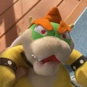 profile_Bowser