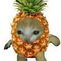 Pineapple Girl typ osobowości MBTI image