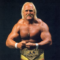 Hulk Hogan mbti kişilik türü image