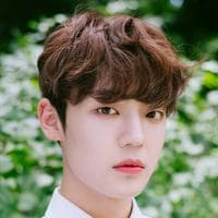 Chan (A.C.E) MBTI 성격 유형 image