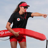 Lifeguard tipe kepribadian MBTI image