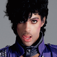 Prince type de personnalité MBTI image