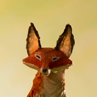The Fox type de personnalité MBTI image