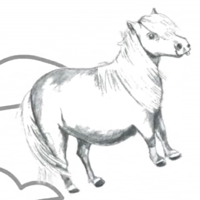 Magical Pony type de personnalité MBTI image