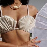 Seashell Bra MBTI Personality Type image