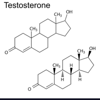 profile_Testosterone (Hormone)