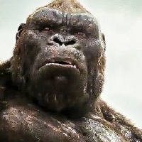Kong type de personnalité MBTI image
