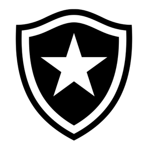 Botafogo FR tipo de personalidade mbti image