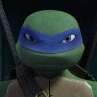 Leonardo “Leo” Hamato tipo de personalidade mbti image