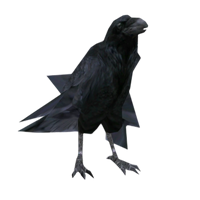 Crow MBTI Personality Type image