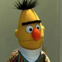 Bert نوع شخصية MBTI image