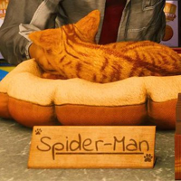 Spider-Man the Cat MBTI Personality Type image