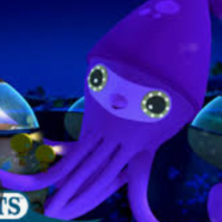 profile_Colossal Squid