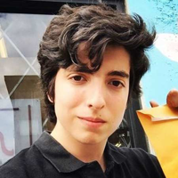 Nick Wolfhard tipo de personalidade mbti image