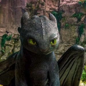 profile_Toothless