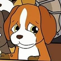 Puppy MBTI -Persönlichkeitstyp image