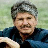 Charles Bronson тип личности MBTI image