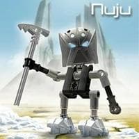 profile_Nuju