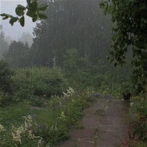 profile_Rainy days