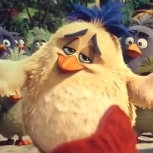 profile_Free hugs bird