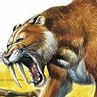 Smilodon (Saber-Tooth Cat) type de personnalité MBTI image