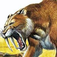 Smilodon (Saber-Tooth Cat) MBTI性格类型 image