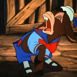 profile_Alexander the donkey boy