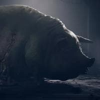 profile_The Pig