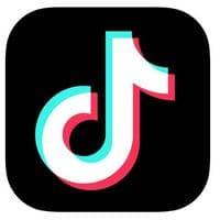 Tiktok Slang tipo di personalità MBTI image