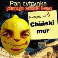 Pan Cytrynka  type de personnalité MBTI image