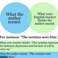 profile_The Curtains Are Just Blue