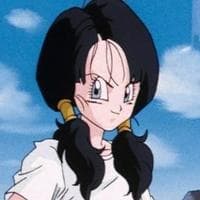 profile_Videl