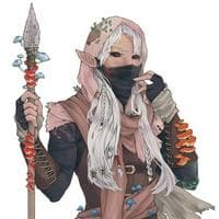 Druid نوع شخصية MBTI image